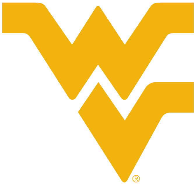 West Virginia Mountaineers 1980-Pres Alternate Logo v4 iron on transfers for T-shirts